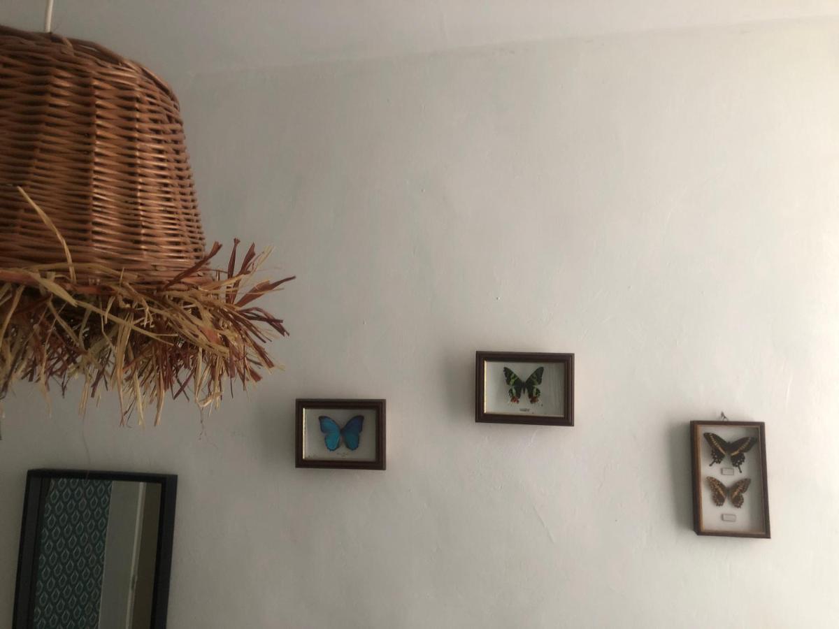 מרסיי Appt 2 Chambres Au Centre Ville 3E מראה חיצוני תמונה
